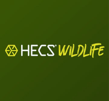 fall back HECS blog image