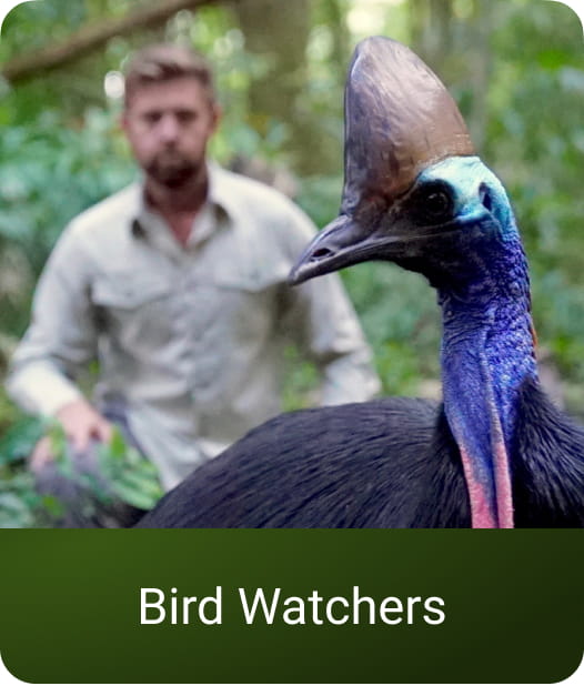 Bird Watchers